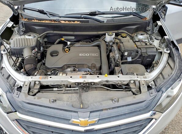 2GNAXUEV7L6164750 2020 CHEVROLET EQUINOX Silver Սալոնի հետևի տեսք