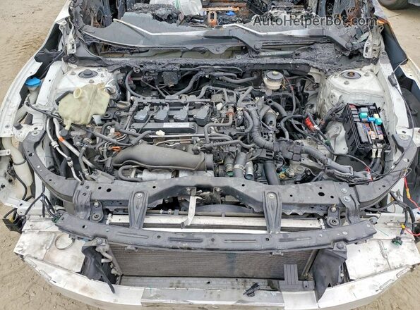 2HGFC1E53KH700199 2019 HONDA CIVIC Белый Вид задней части салона
