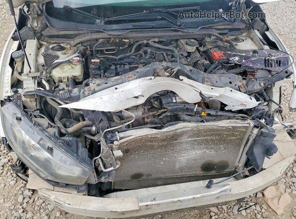 2HGFC1E55HH705607 2017 HONDA CIVIC White Widok wnętrza z tyłu
