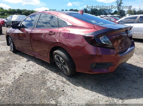 2HGFC1F76HH653050 2017 HONDA CIVIC Red უკანა მარცხენა