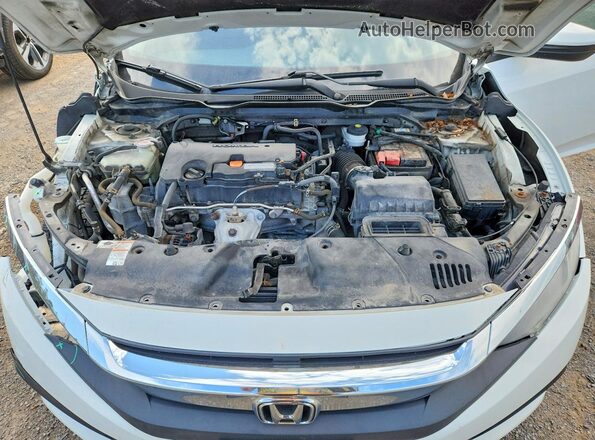 2HGFC2F50HH017194 2017 HONDA CIVIC Белый Вид задней части салона