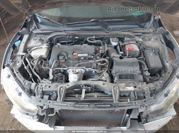 2HGFC2F50HH545138 2017 HONDA CIVIC Gray Widok z tyłu