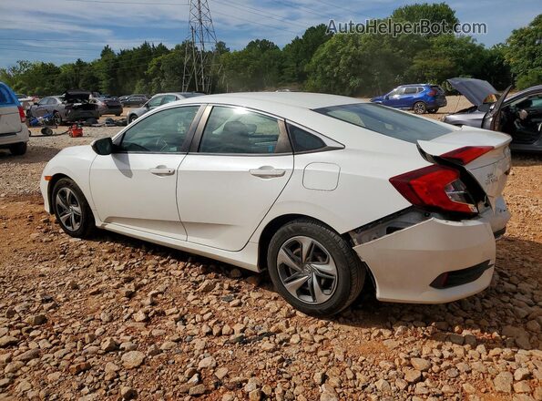 2HGFC2F61LH504230 2020 HONDA CIVIC Белый Задняя левая четверть