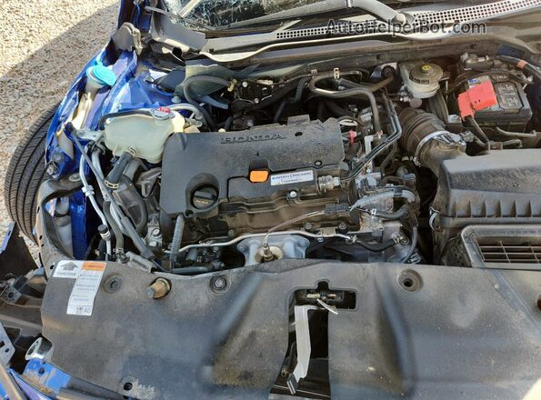2HGFC2F67MH509014 2021 HONDA CIVIC Blue Widok wnętrza z tyłu