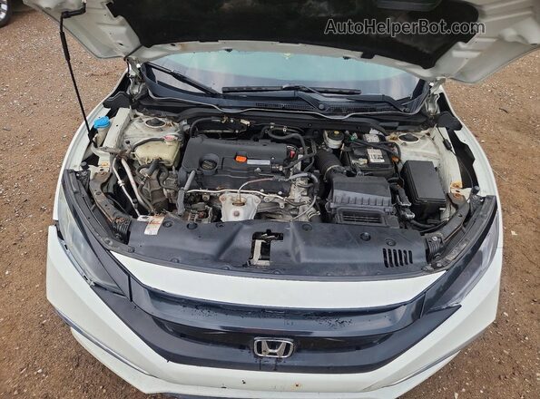 2HGFC2F76KH004667 2019 HONDA CIVIC White უკანა სალონის ხედი