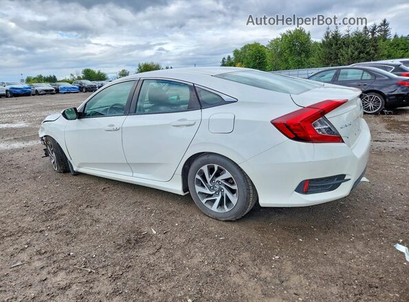 2HGFC2F81HH024083 2017 HONDA CIVIC White Задня ліва чверть
