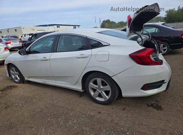 2HGFC2F81HH027243 2017 HONDA CIVIC White Rear left