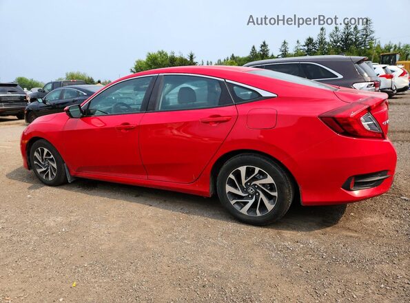 2HGFC2F84HH010520 2017 HONDA CIVIC Red Հետևի ձախ