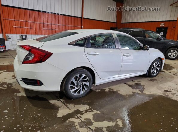2HGFC2F87HH000497 2017 HONDA CIVIC White Հետևի աջ