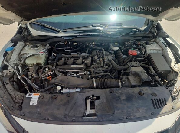 2HGFC3A50HH752738 2017 HONDA CIVIC White უკანა სალონის ხედი