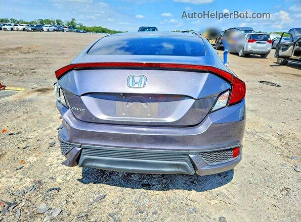 2HGFC4B02HH302310 2017 HONDA CIVIC Gray Widok z tyłu