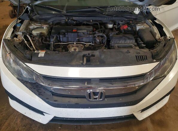 2HGFC4B07HH301265 2017 HONDA CIVIC White Սալոնի հետևի տեսք