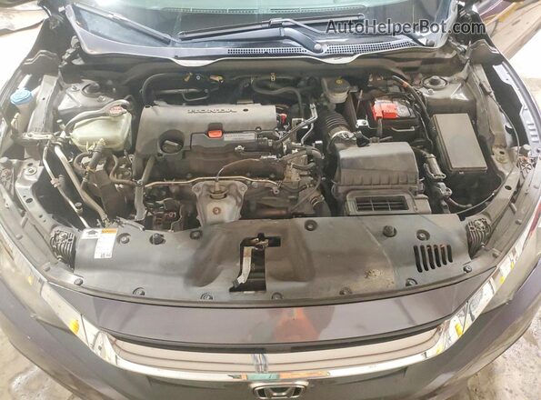 2HGFC4B57HH310043 2017 HONDA CIVIC Gray Вид задньої частини салону