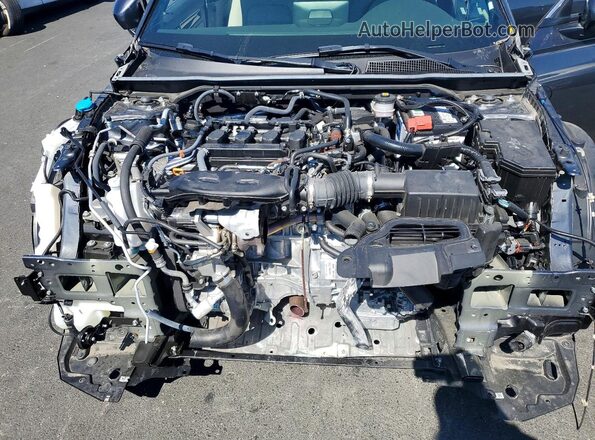 2HGFE1F75PH319455 2023 HONDA CIVIC Gray Սալոնի հետևի տեսք