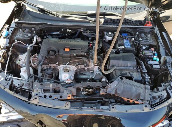 2HGFE2F52RH504828 2024 HONDA CIVIC Black Սալոնի հետևի տեսք