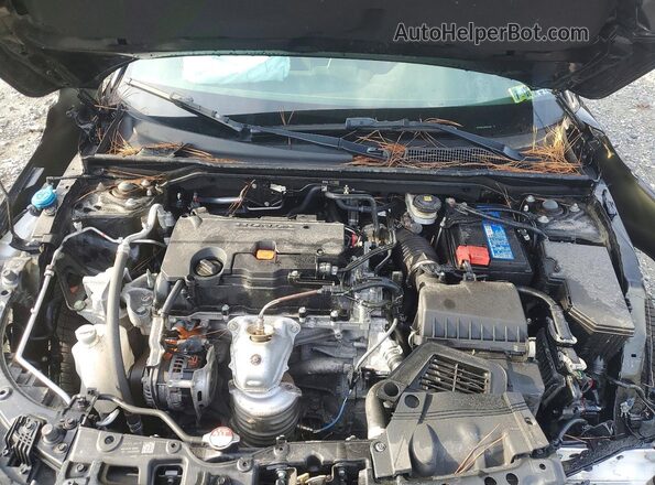2HGFE2F56RH581265 2024 HONDA CIVIC Black Rear interior view