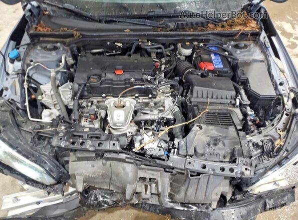 2HGFE2F59RH538152 2024 HONDA CIVIC Blue უკანა სალონის ხედი