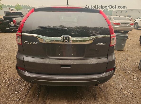 2HKRM4H38GH135080 2016 HONDA CR-V Gray უკანა ხედი