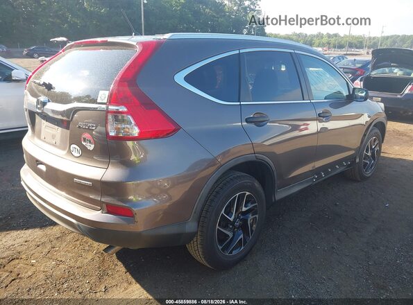 2HKRM4H41GH674097 2016 HONDA CR-V Brown Trasero derecho