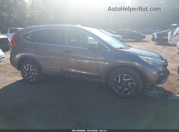 2HKRM4H41GH674097 2016 HONDA CR-V Brown Vista interior trasera