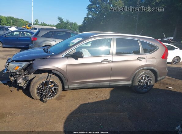 2HKRM4H41GH674097 2016 HONDA CR-V Brown Vista interior de 360 grados