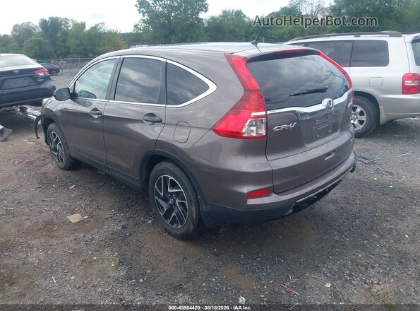 2HKRM4H45GH702032 2016 HONDA CR-V Brown Tył lewy