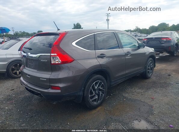 2HKRM4H45GH702032 2016 HONDA CR-V Brown Tył prawy
