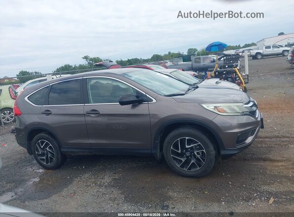 2HKRM4H45GH702032 2016 HONDA CR-V Brown Widok wnętrza z tyłu