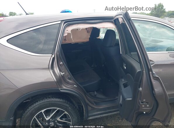 2HKRM4H45GH702032 2016 HONDA CR-V Brown Widok naklejki z numerem VIN