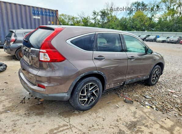 2HKRM4H49GH683050 2016 HONDA CR-V Gray უკანა მარჯვენა