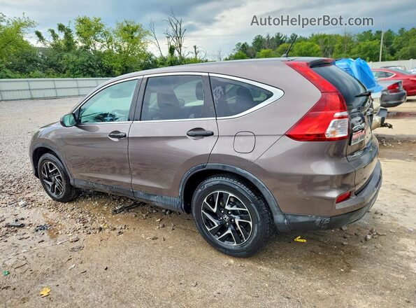 2HKRM4H49GH683050 2016 HONDA CR-V Gray უკანა მარცხენა