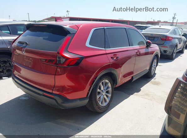 2HKRS3H40RH325709 2024 HONDA CR-V Red Tył prawy