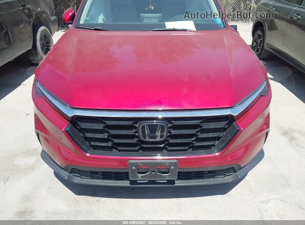 2HKRS3H40RH325709 2024 HONDA CR-V Red Widok z przodu