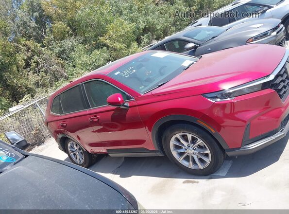 2HKRS3H40RH325709 2024 HONDA CR-V Red Widok wnętrza z tyłu