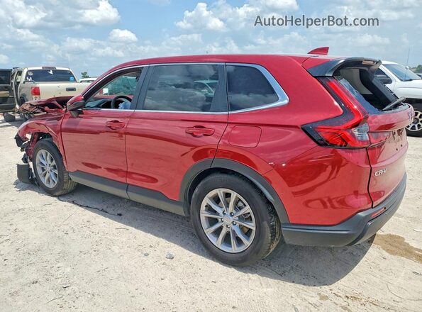 2HKRS3H42SH328245 2025 HONDA CR-V Red Հետևի ձախ