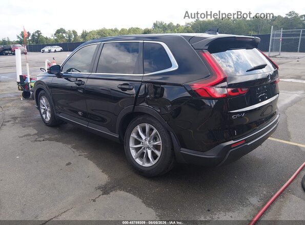 2HKRS3H48RH303389 2024 HONDA CR-V Black Tył lewy