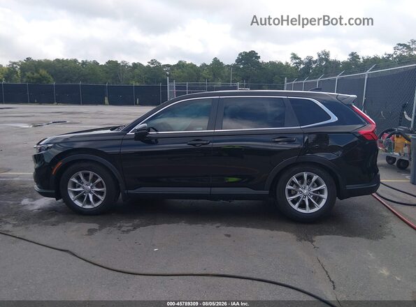 2HKRS3H48RH303389 2024 HONDA CR-V Black Widok wnętrza 360 stopni