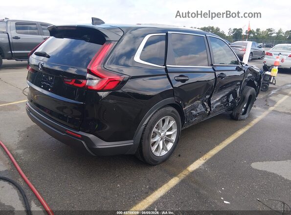 2HKRS3H48RH303389 2024 HONDA CR-V Black Tył prawy
