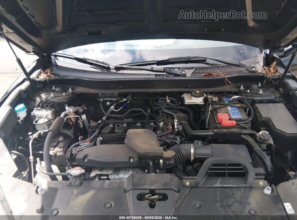 2HKRS3H48RH303389 2024 HONDA CR-V Black Widok z tyłu