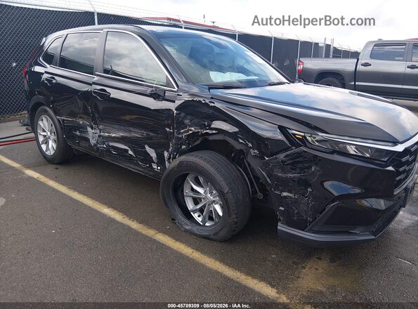 2HKRS3H48RH303389 2024 HONDA CR-V Black Widok z przodu