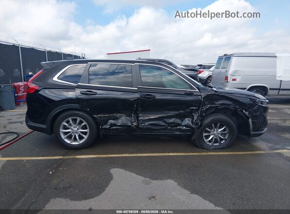 2HKRS3H48RH303389 2024 HONDA CR-V Black Widok wnętrza z tyłu