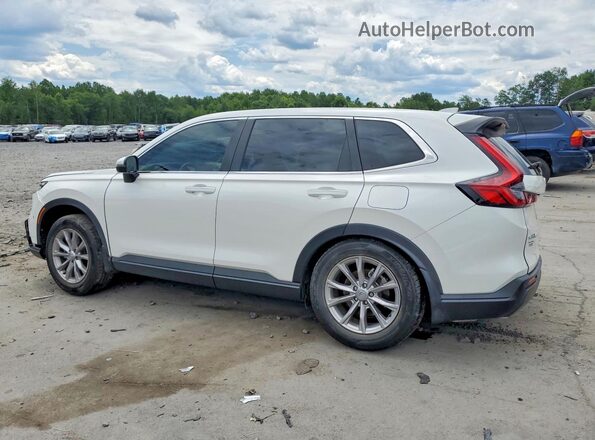 2HKRS3H76RH314269 2024 HONDA CR-V White Tył lewy
