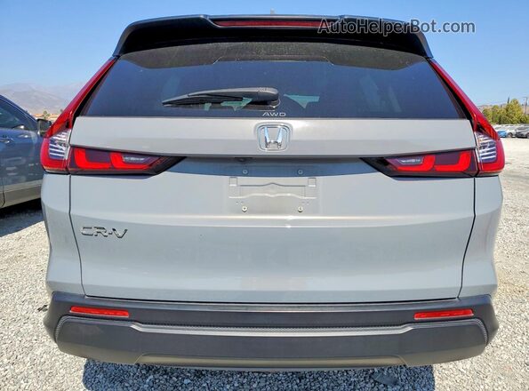 2HKRS4H47RH425229 2024 HONDA CR-V Gray უკანა ხედი