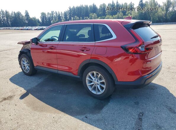 2HKRS4H75RH421805 2024 HONDA CR-V Red უკანა მარცხენა