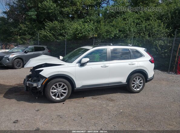2HKRS4H77RH481701 2024 HONDA CR-V White 