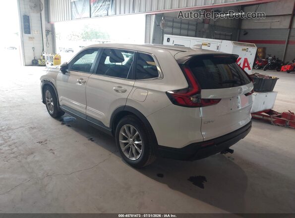 2HKRS4H78SH491935 2025 HONDA CR-V White Tył lewy