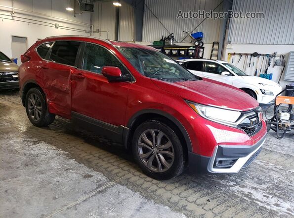 2HKRW2H47MH202965 2021 HONDA CR-V Red Առջևի աջ