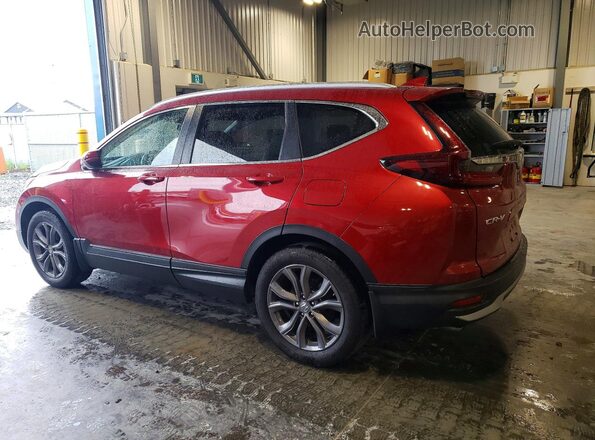 2HKRW2H47MH202965 2021 HONDA CR-V Red Հետևի ձախ