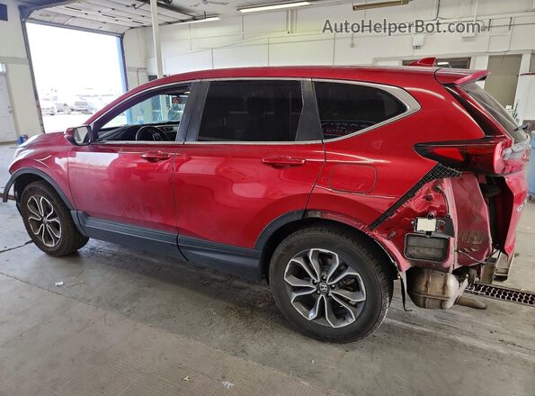 2HKRW2H56MH672560 2021 HONDA CR-V Burgundy Задня ліва чверть
