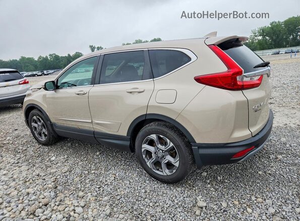 2HKRW2H82KH652295 2019 HONDA CR-V Beige უკანა მარცხენა